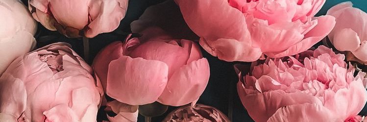 SimmsAdele's profile banner image