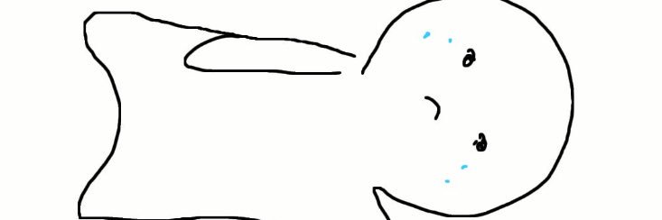 dsea's profile banner image