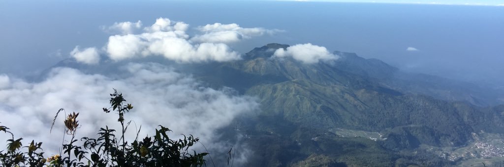 deyuniarani's profile banner image
