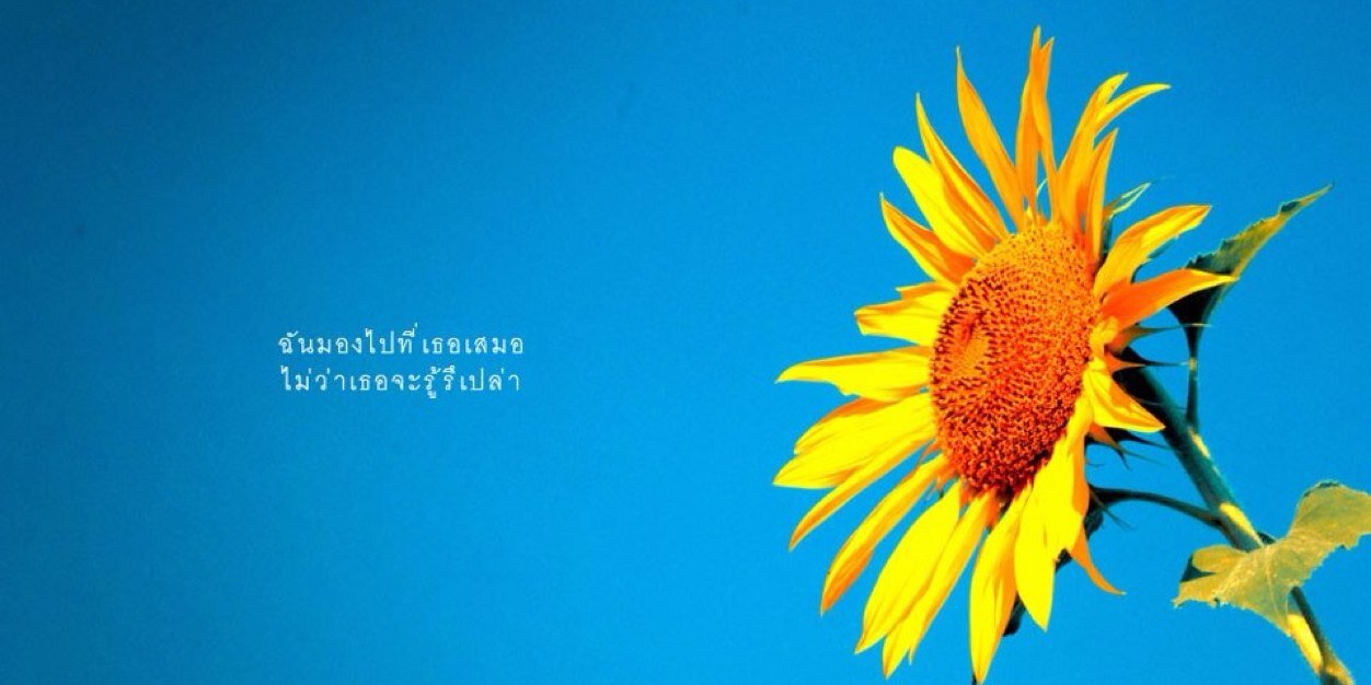 BSICSEAN_'s profile banner image