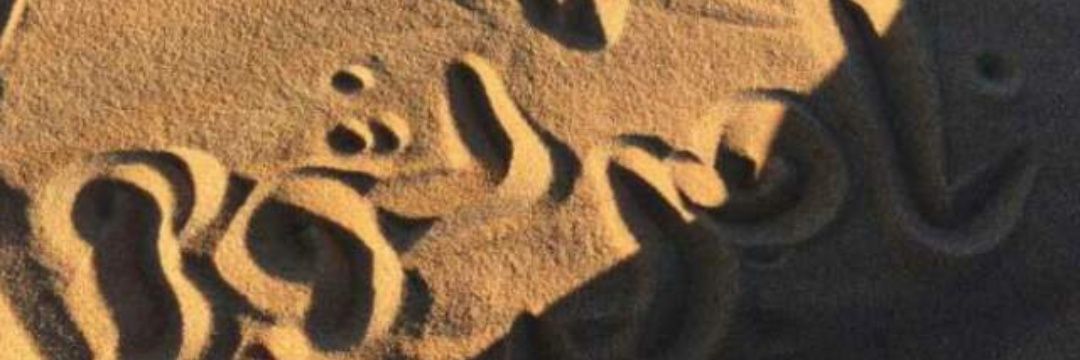 alshowaier22's profile banner image