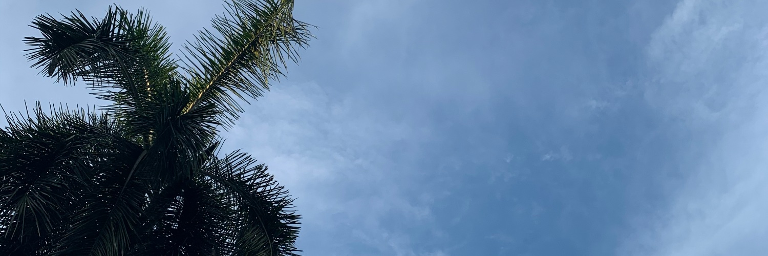 Trinetri123's profile banner image