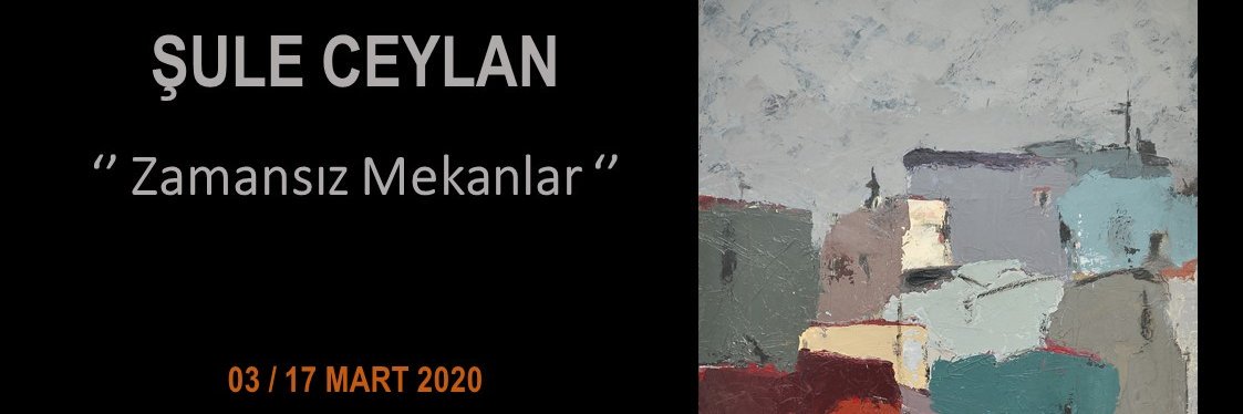 suleceylan1's profile banner image