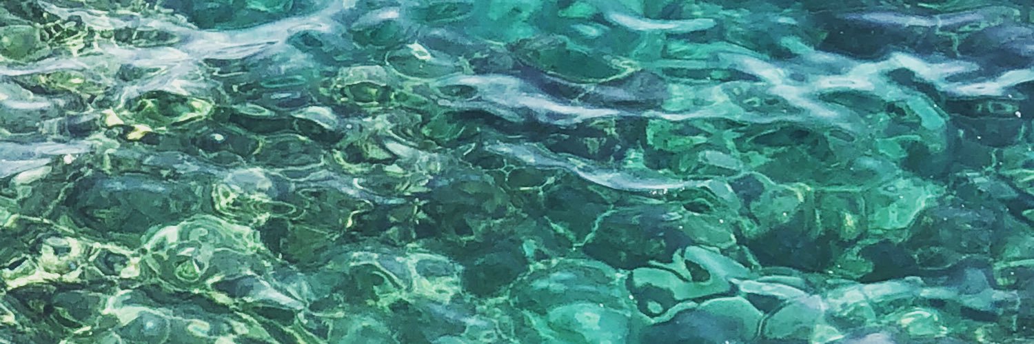 Allison_Allicat's profile banner image