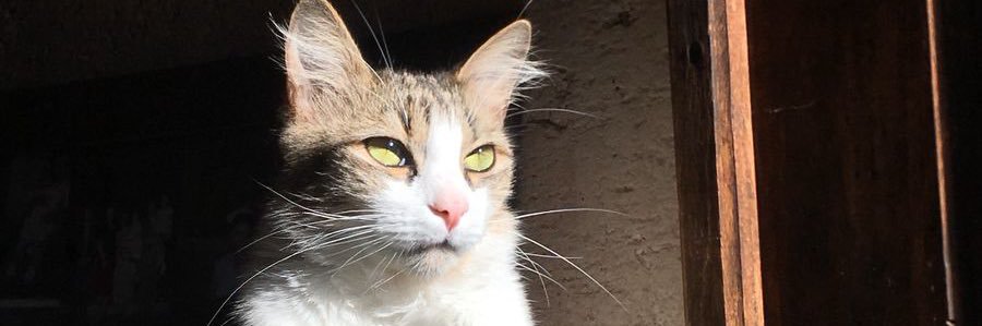 ianfp_'s profile banner image