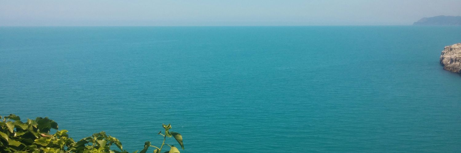 75Nurten's profile banner image