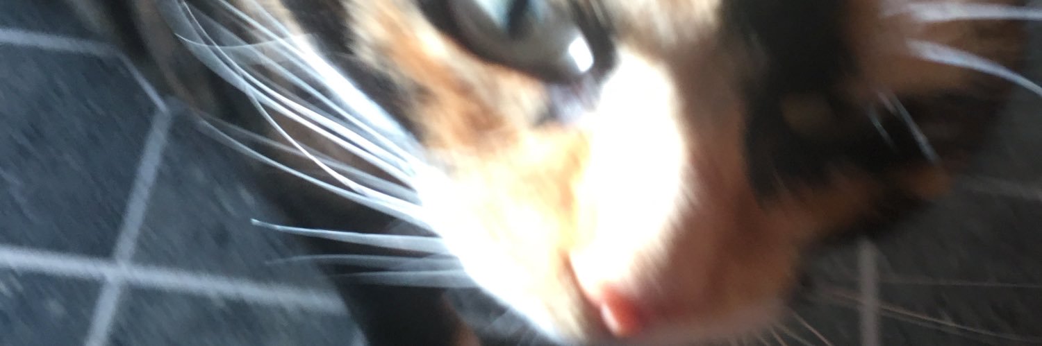 Mattmccann79's profile banner image