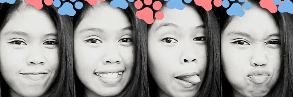 MissCalendula's profile banner image