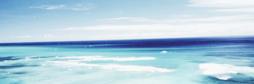 wildfireswift's profile banner image