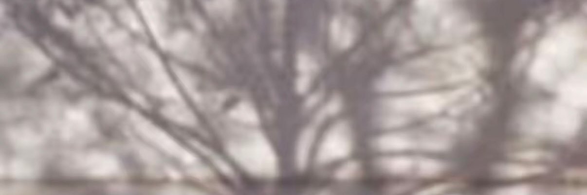 Alotaibi__44's profile banner image
