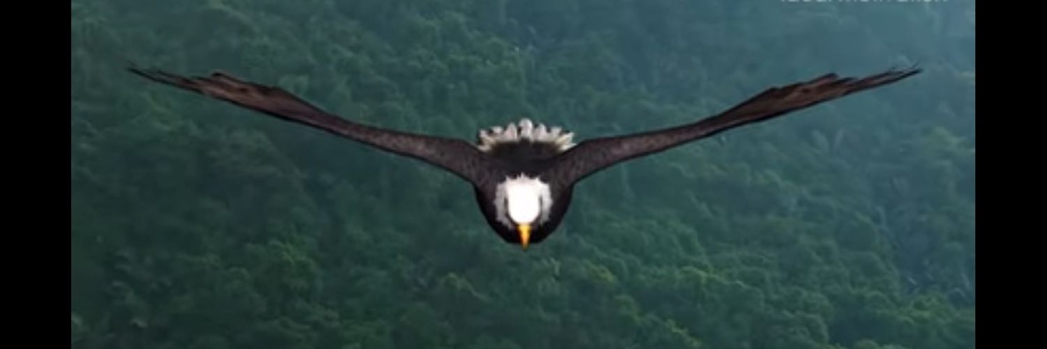 RutMuteba's profile banner image