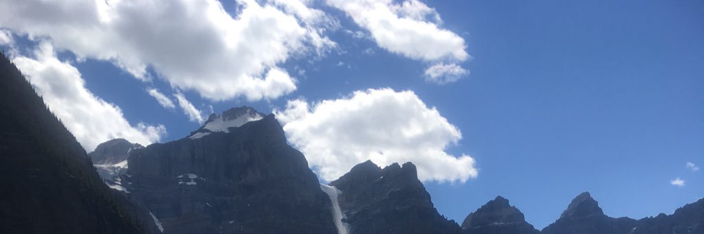 緋露🍀🐣 banner