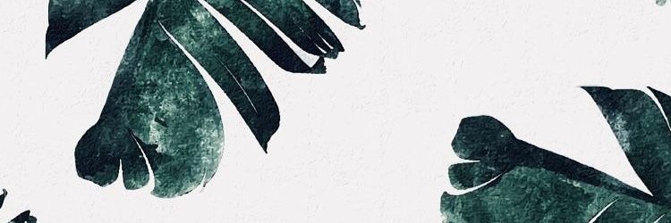 caamaii's profile banner image