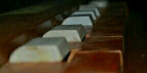 Museo_Musica's profile banner image