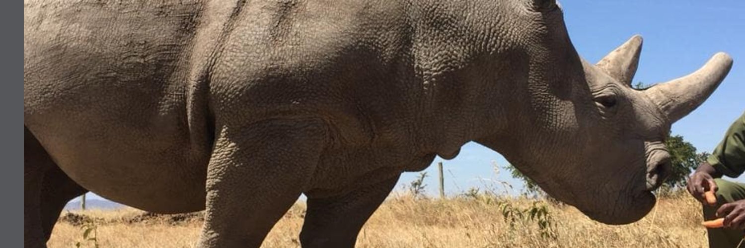 Zacharia_Mutai's profile banner image