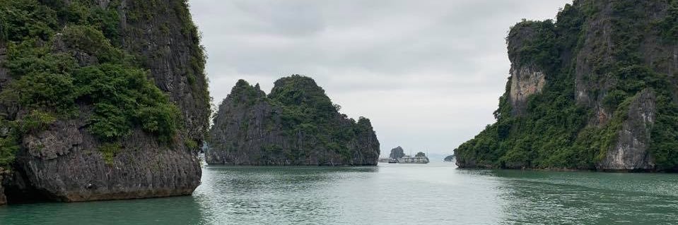 Sara Palacino banner