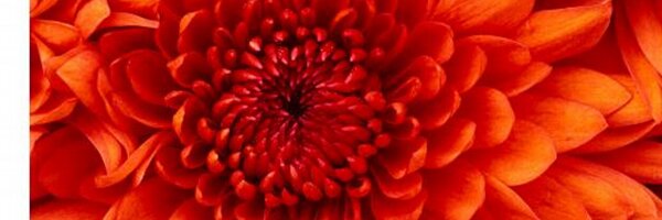 subzero_142011 Profile Banner