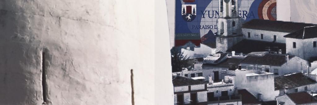 juncaira's profile banner image