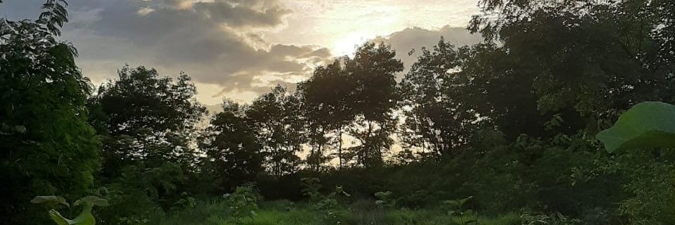 PurshothamG's profile banner image