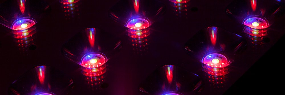 ledgrowlightsdp's profile banner image