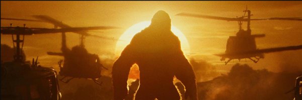 VogtRoberts Profile Banner