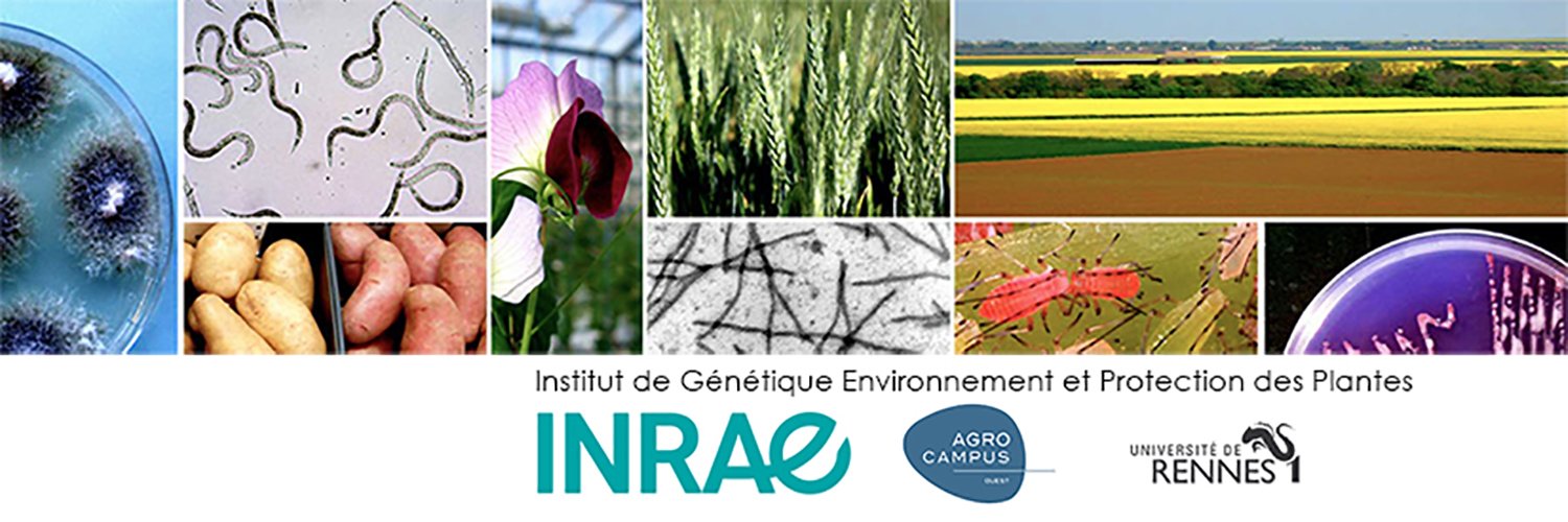 Nicolas_Parisey's profile banner image