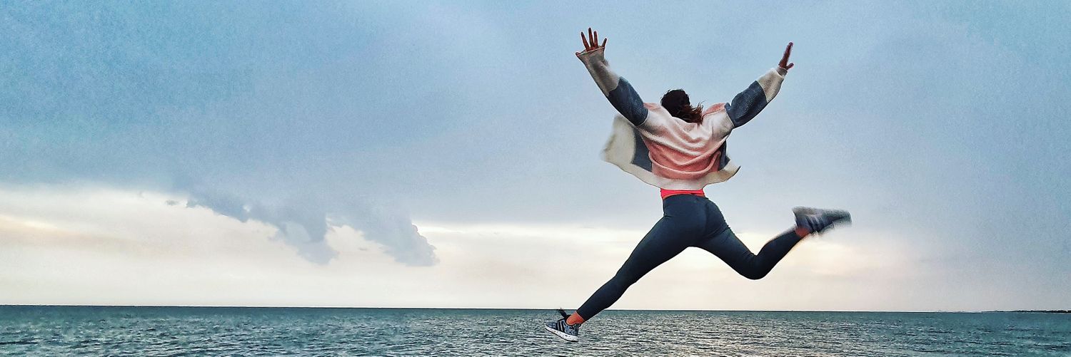 VikiSeagull's profile banner image