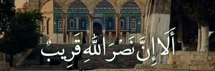 Mohammed Ali ™ banner