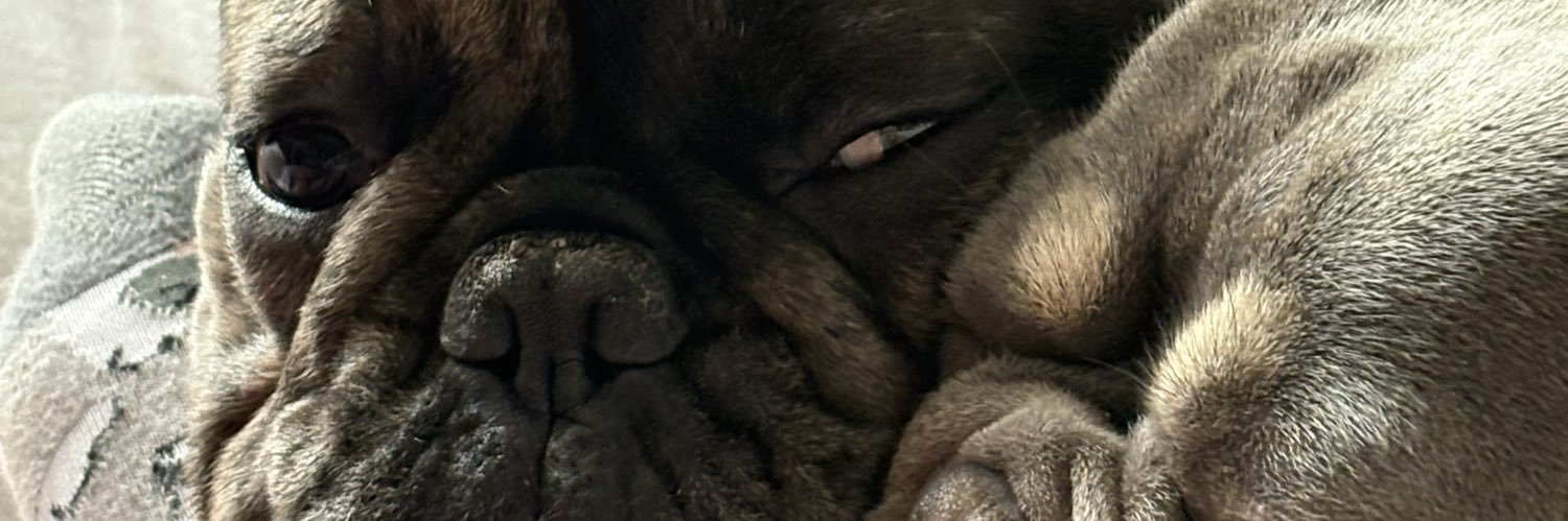 labruja7235's profile banner image