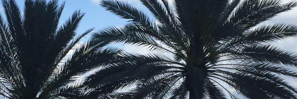 jrue413's profile banner image