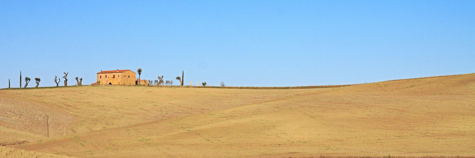 Michael Paege banner