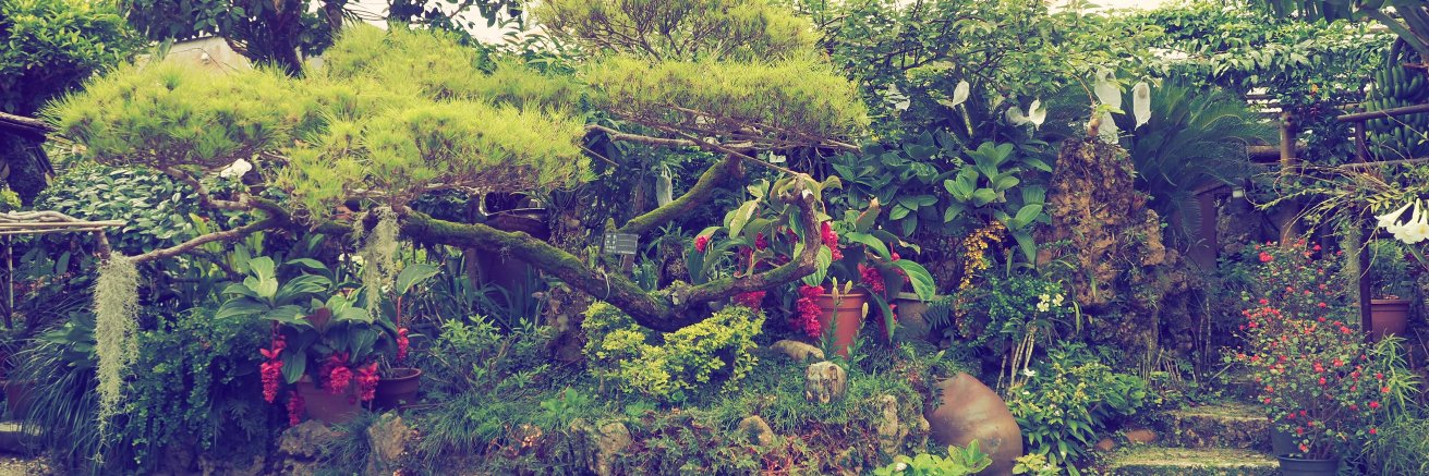 Miguel L. Grau banner