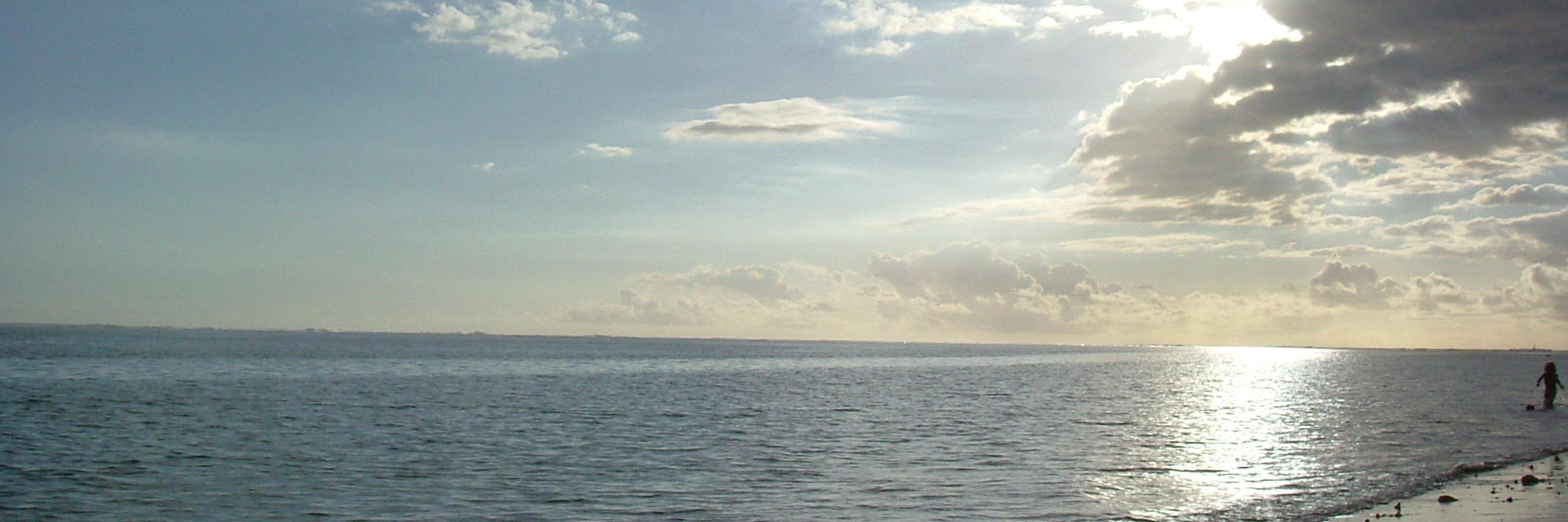 CavalierLudovic's profile banner image