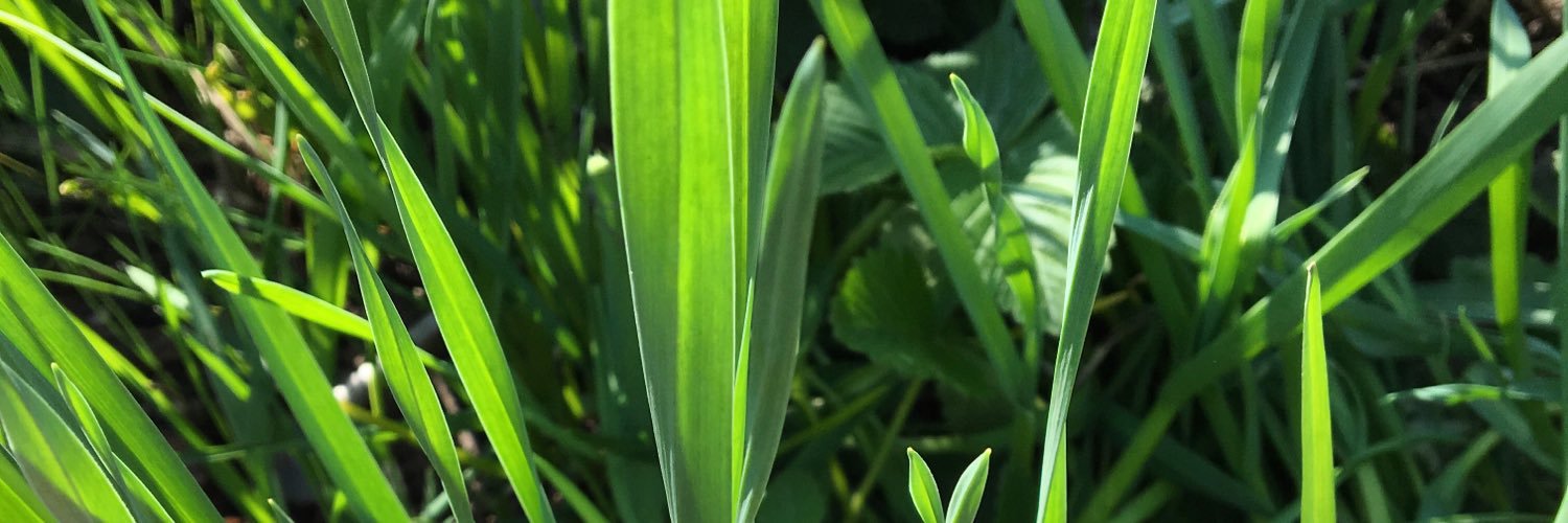 Dinaarkaaa's profile banner image