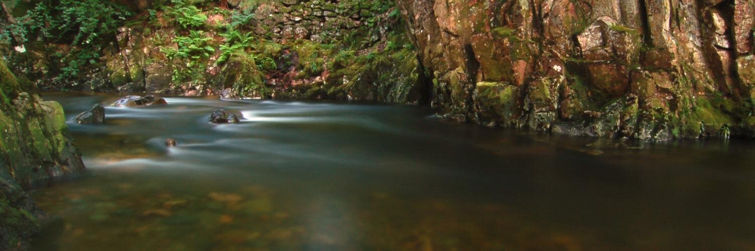 BrookHouseInn's profile banner image