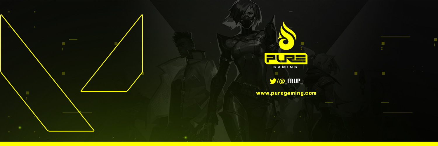 Pure Gaming banner
