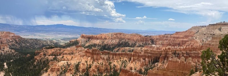 Serdar Charyyev banner