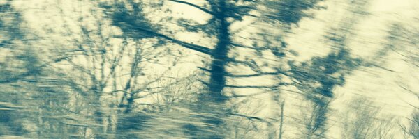 donnatova Profile Banner