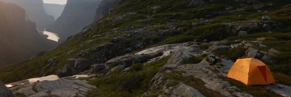 muscedej Profile Banner