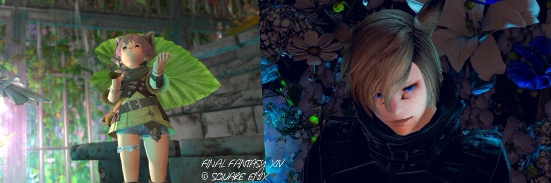 nikchocobo's profile banner image