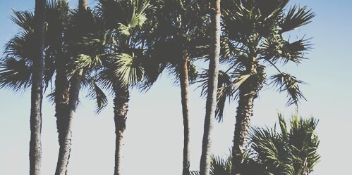 lanamscgdr's profile banner image