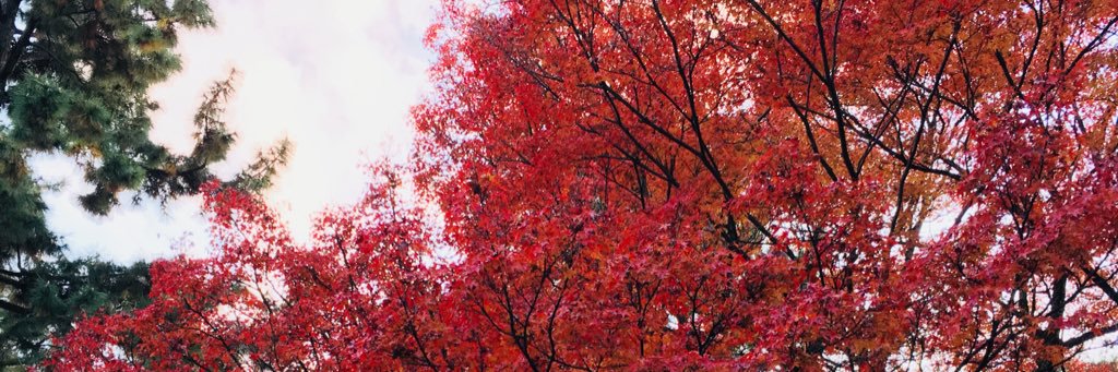 TmkjoS's profile banner image