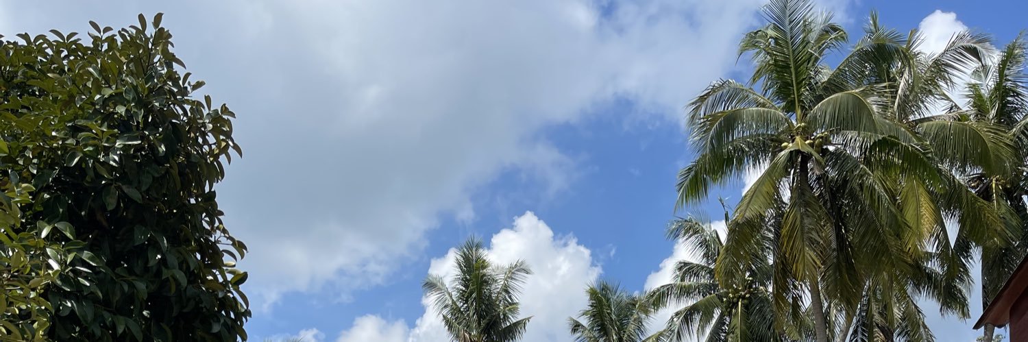 ndzulkifli's profile banner image