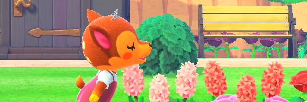 polpg29's profile banner image