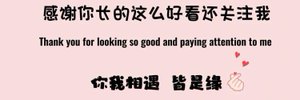 tutuo2o's profile banner image