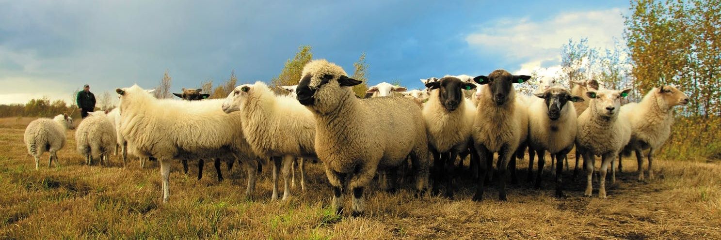 specieturistica's profile banner image
