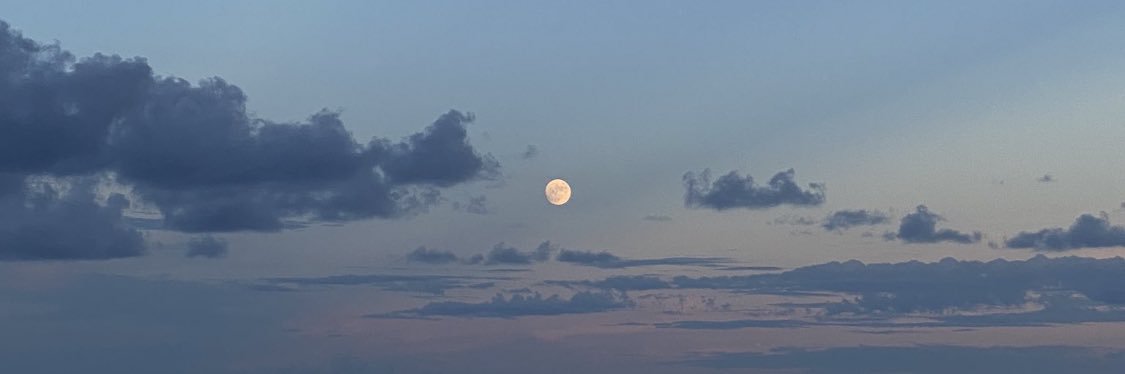 Trillestkoxo's profile banner image