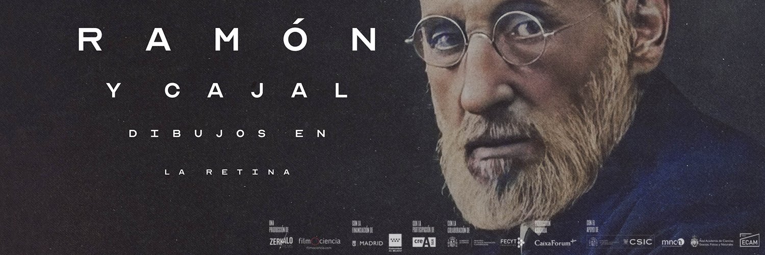 Zerkalo Films banner