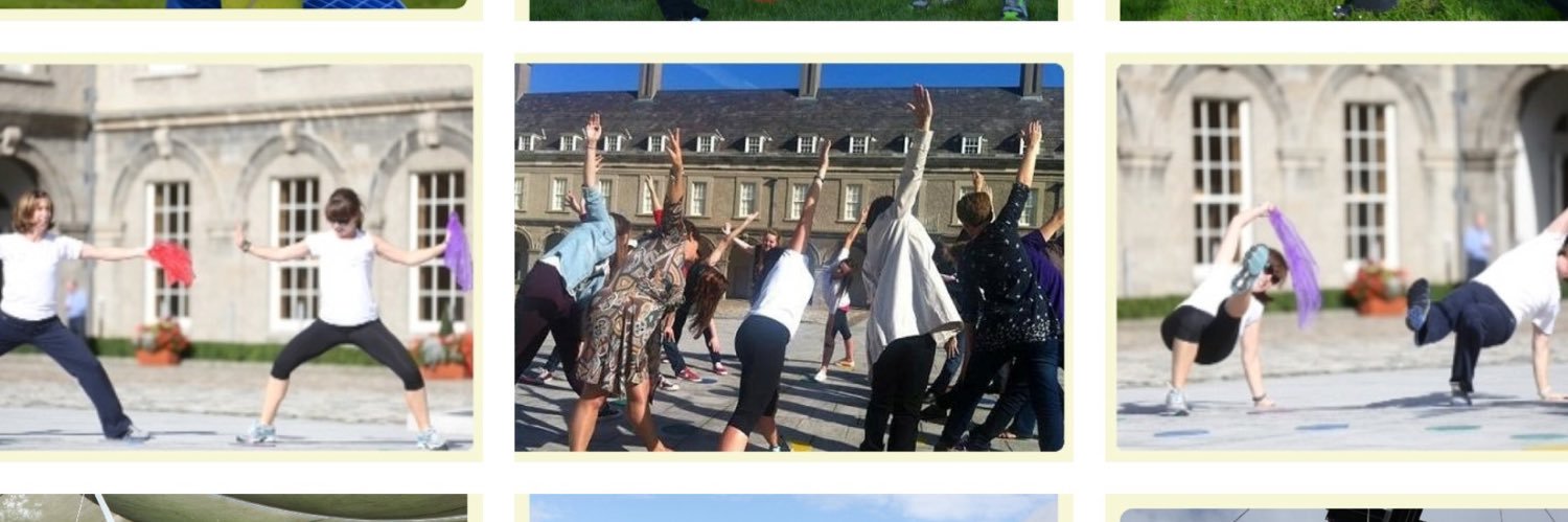 Irish Primary PE Association (IPPEA) banner