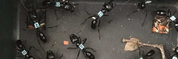 callofduda Profile Banner